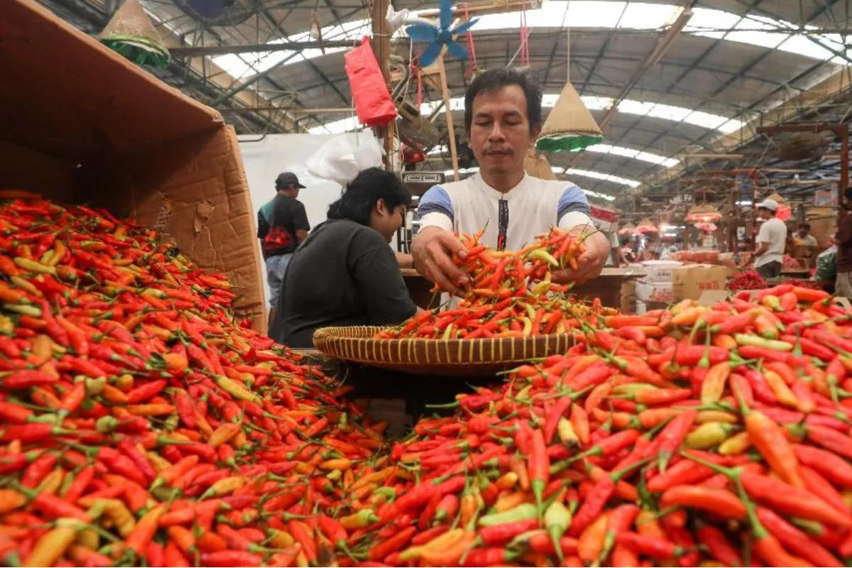 Mayoritas Harga Pangan Cirebon Turun 6 Juli, Cabai Anjlok Paling Dalam