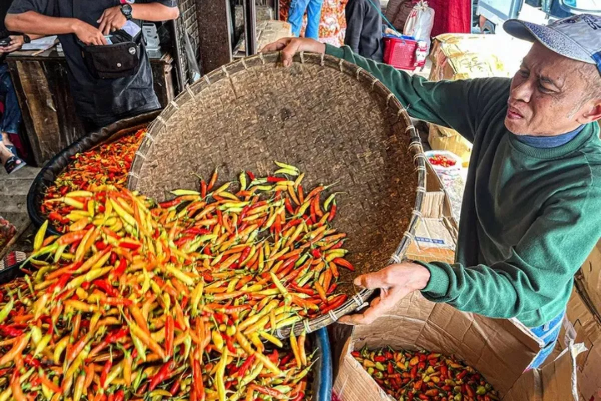 Cabai Rawit Merah Naik 8,58%, Harga Pangan Hari Ini Beragam
