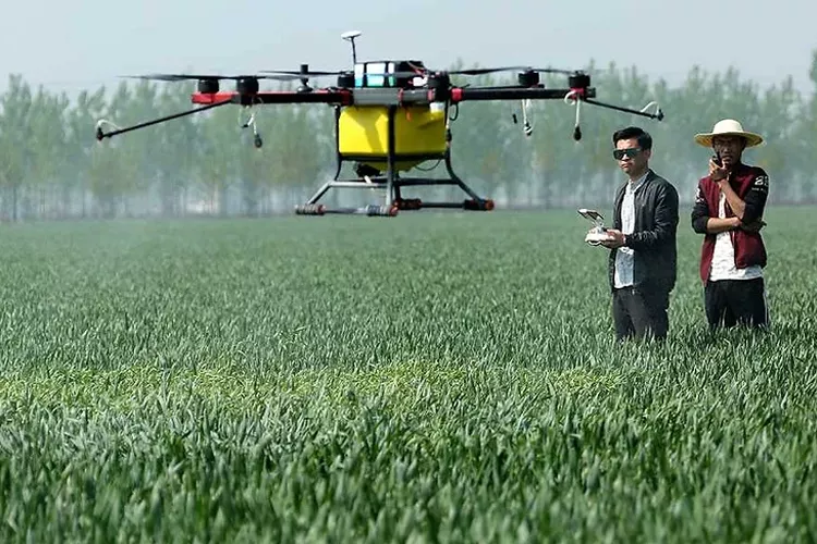 Inovasi Teknologi Pertanian Modern Indonesia: Era Baru Petani Digital