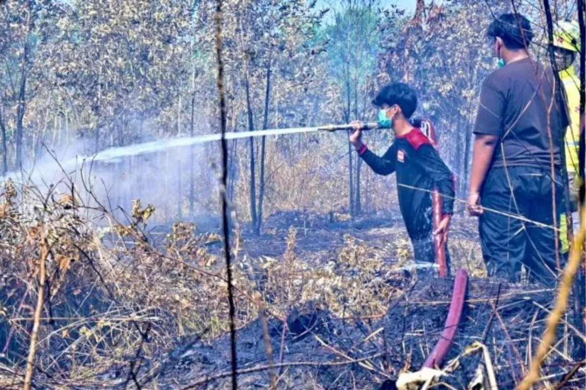 Kalsel Sangat Mudah Terbakar, BMKG Deteksi 1.299 Titik Panas