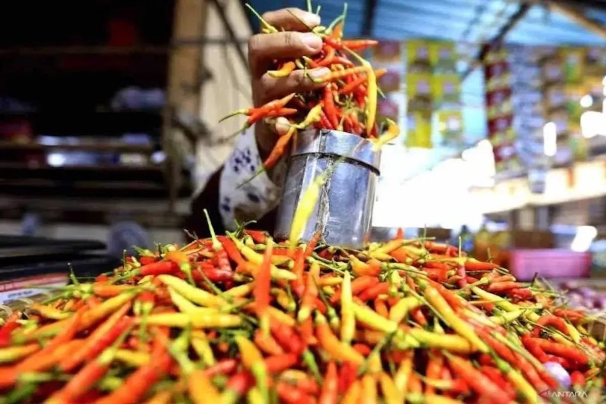 Data PIHPS: Harga Cabai Rawit Rp83.850 dan Telur Ayam Rp29.250 Per Kg