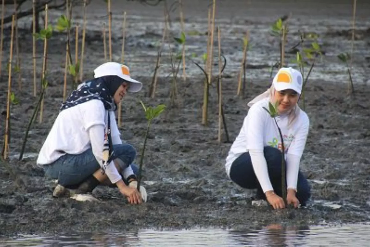 Hari Mangrove Sedunia Jadi Momen BNI Perkuat Kelestarian Pesisir