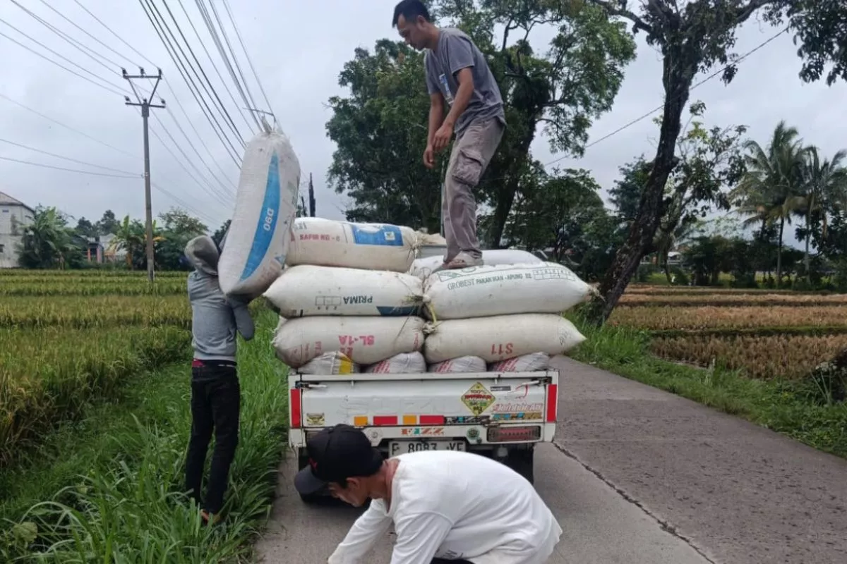 Serapan GKG Bulog Cianjur Lampaui Target Sepanjang 2026