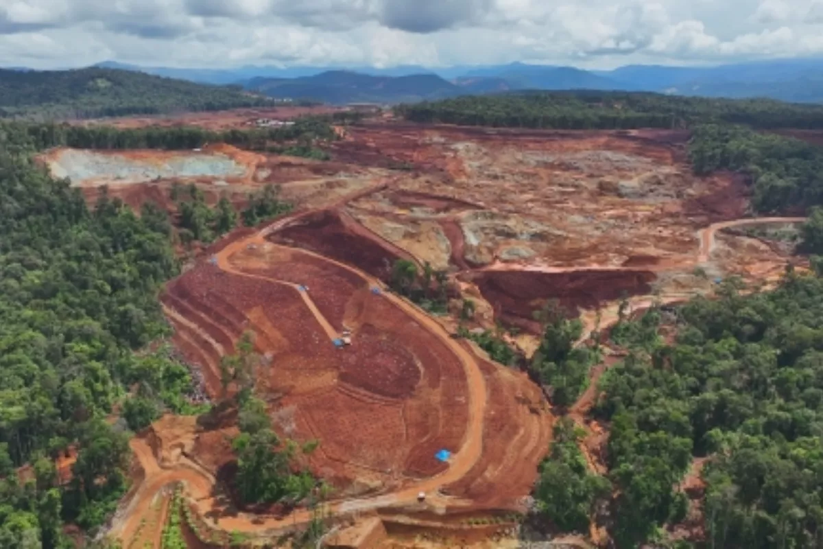 Permenhut Dagang Karbon Dinilai Tak Jamin Hak Masyarakat Lokal 