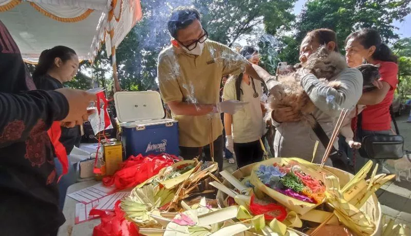 Kasus Baru Ada 2 Kasus Positif Rabies di Denpasar Barat Pemkot Gencarkan