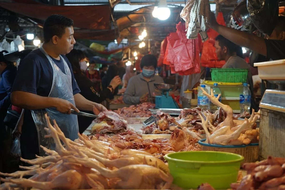 Harga Ayam Tembus 42 Ribu Rupiah Pedagang Minta MBG Dievaluasi