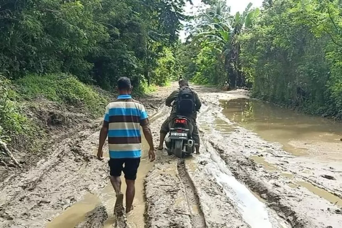 Jalan Rusak Lumpuhkan Distribusi Kelapa di Seram Bagian Barat