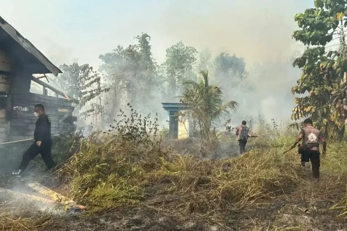 Karhutla Lahap 7 Distrik di Nabire, 396 Hektare Lahan Terbakar