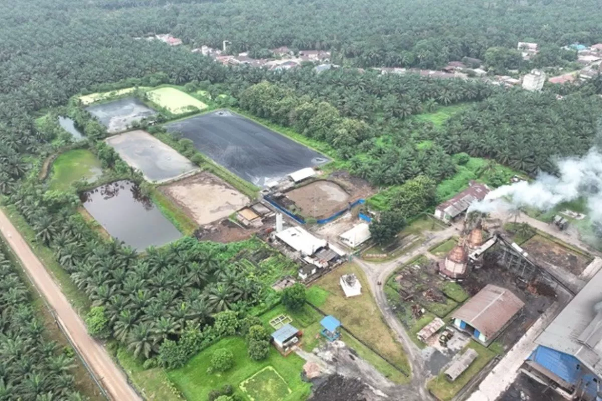 Praktik Industri Hijau, PKS Sei Tapung Olah Limbah Jadi Pupuk Organik