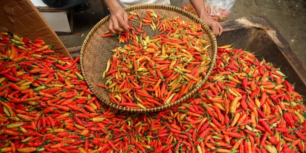 Update Harga Pangan Nasional Cabai Rawit 76.450 Dan Telur 32.050 Rupiah