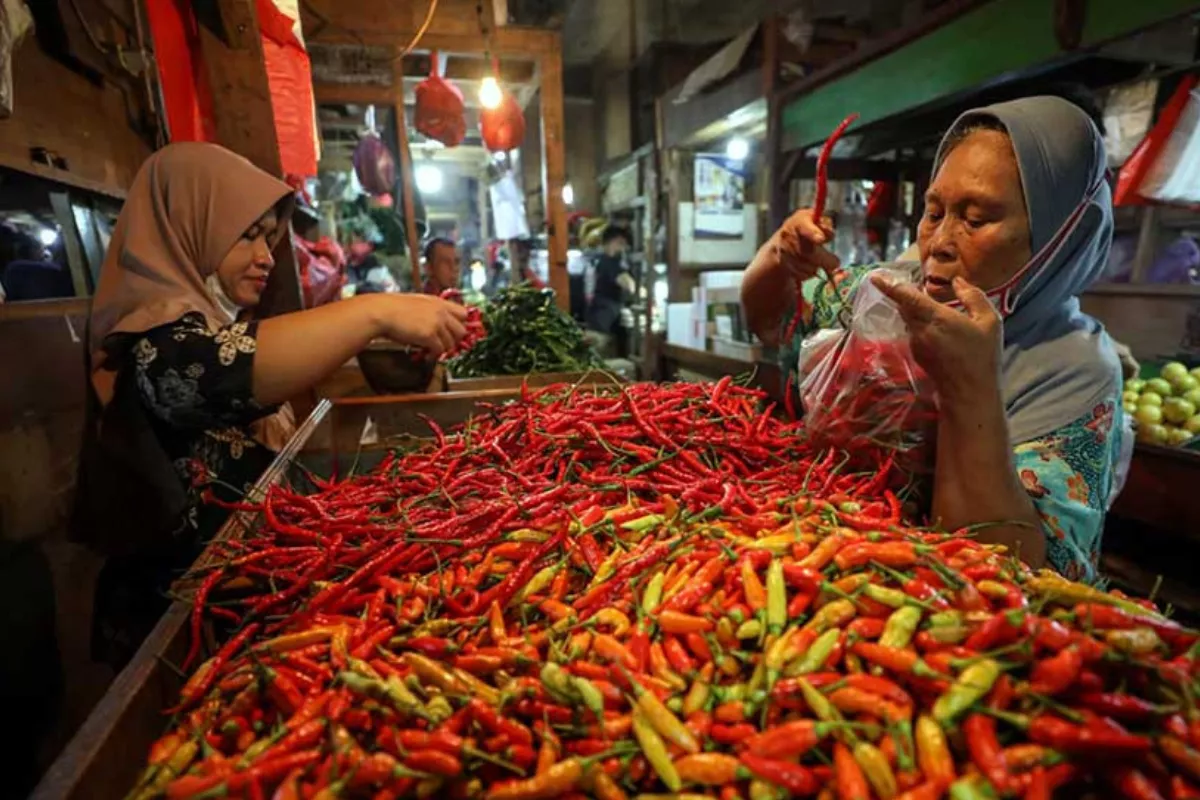 Harga Pangan Hari Ini: Cabai Rawit Rp100.000 dan Telur Ayam Rp29.700
