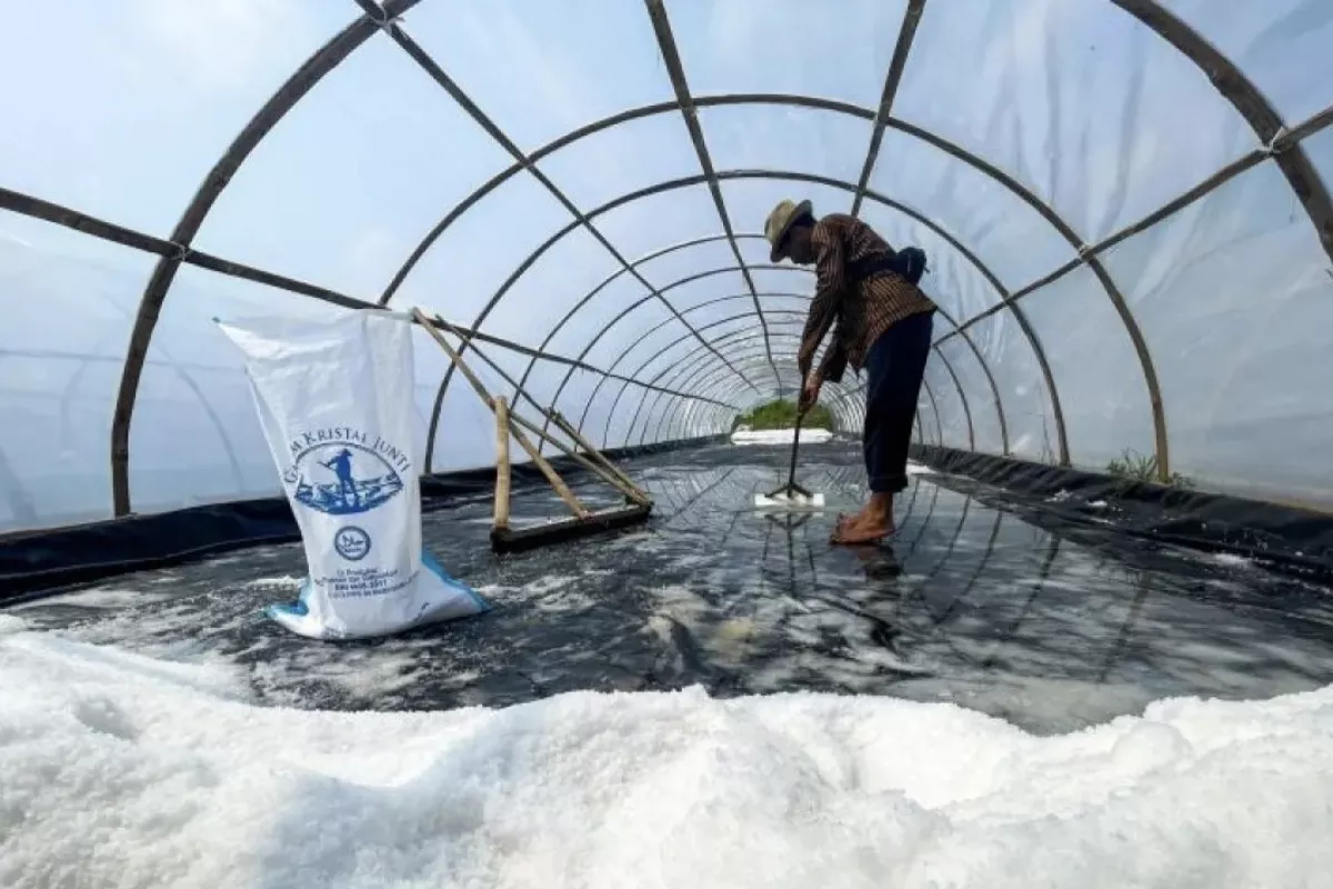 Impor Garam Melonjak, Swasembada 2027 Terancam?