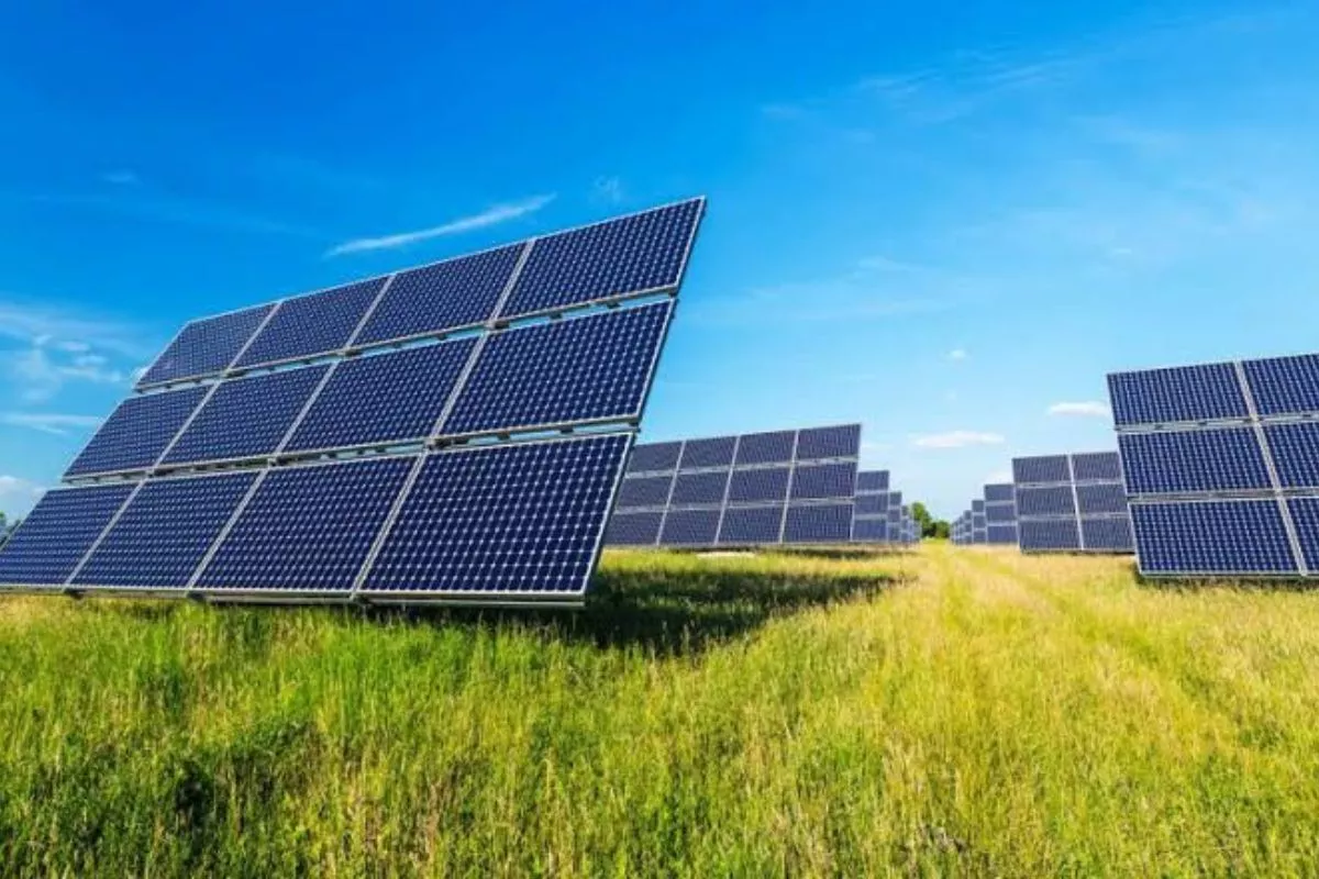 Cara PLTA Batangtoru Hasilkan Energi Hijau Tanpa Merusak Ekosistem
