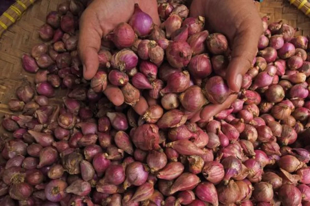 Pantauan Harga Bahan Pokok di Jatim: Cabai Turun, Bawang Merah Naik
