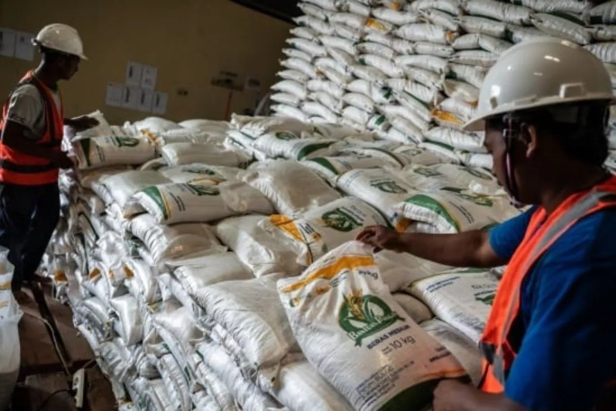 BPS Proyeksi Produksi Beras Capai 2871 Juta Ton September 2026