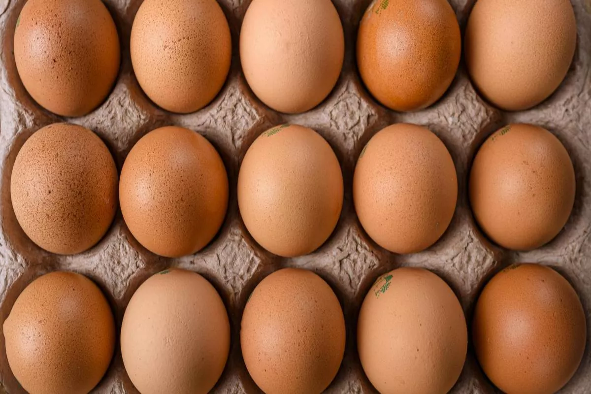 Kementan Janji Stabilkan Harga Telur Ayam Melalui Strategi Hilirisasi
