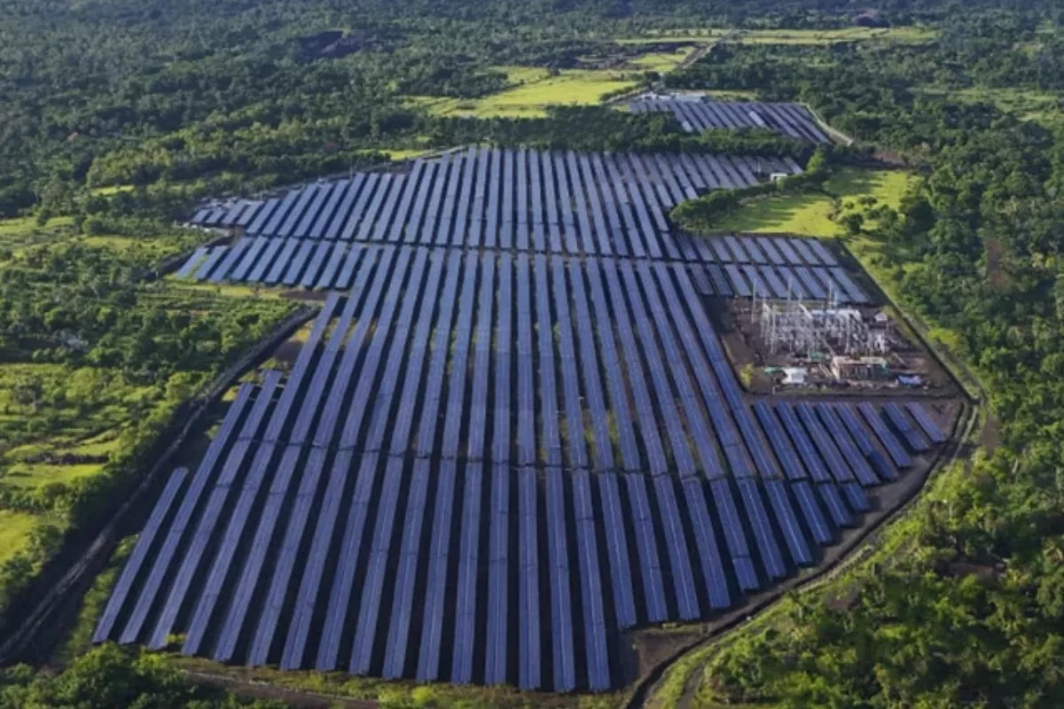 Perkuat Energi Bersih, PTBA Bangun PLTS di Lahan Pascatambang