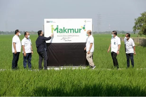 Peluang Usaha Agribisnis Masa Depan yang Paling Menjanjikan 2026