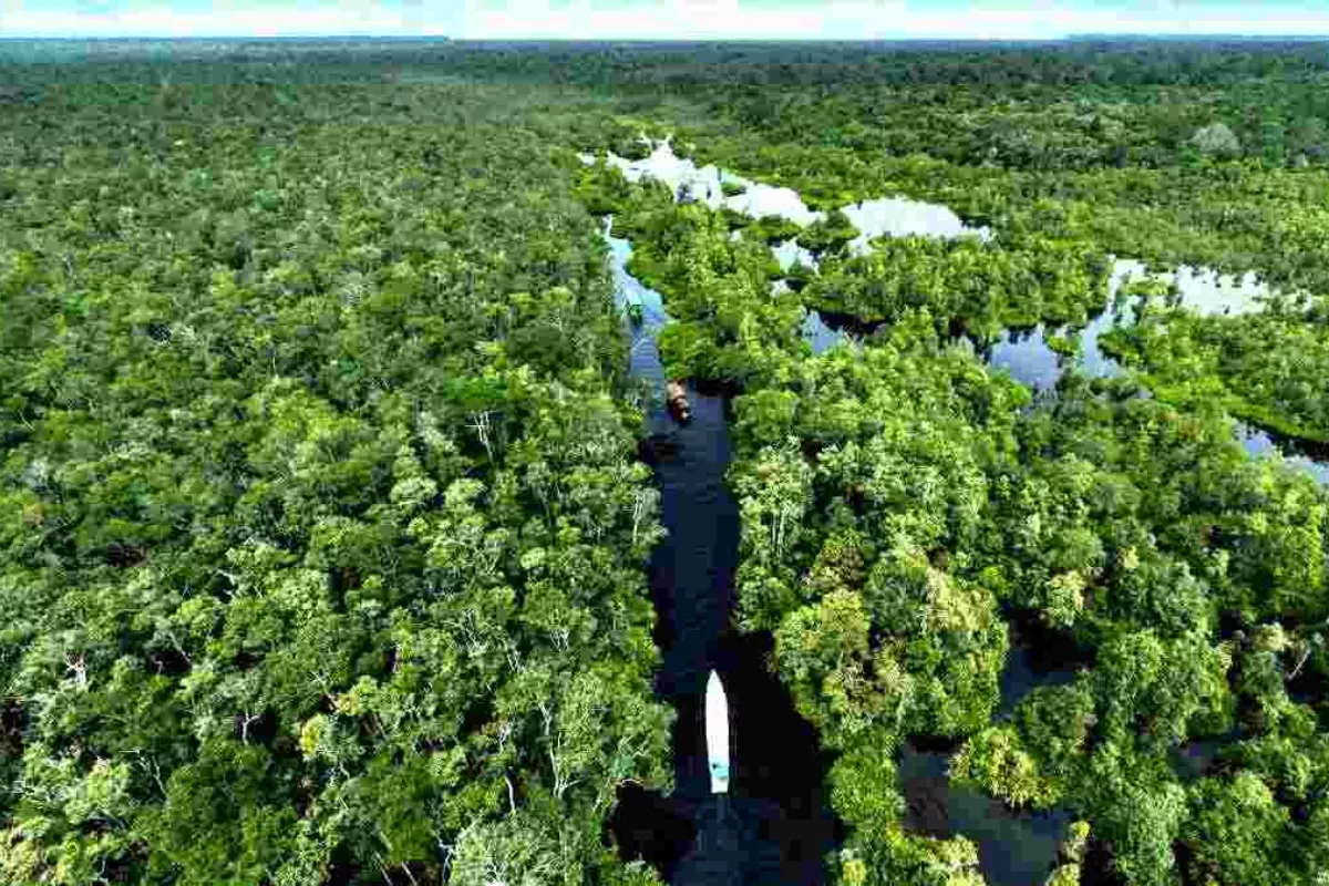 Penjelasan Aturan PBB untuk Taman Nasional dan Hutan Lindung