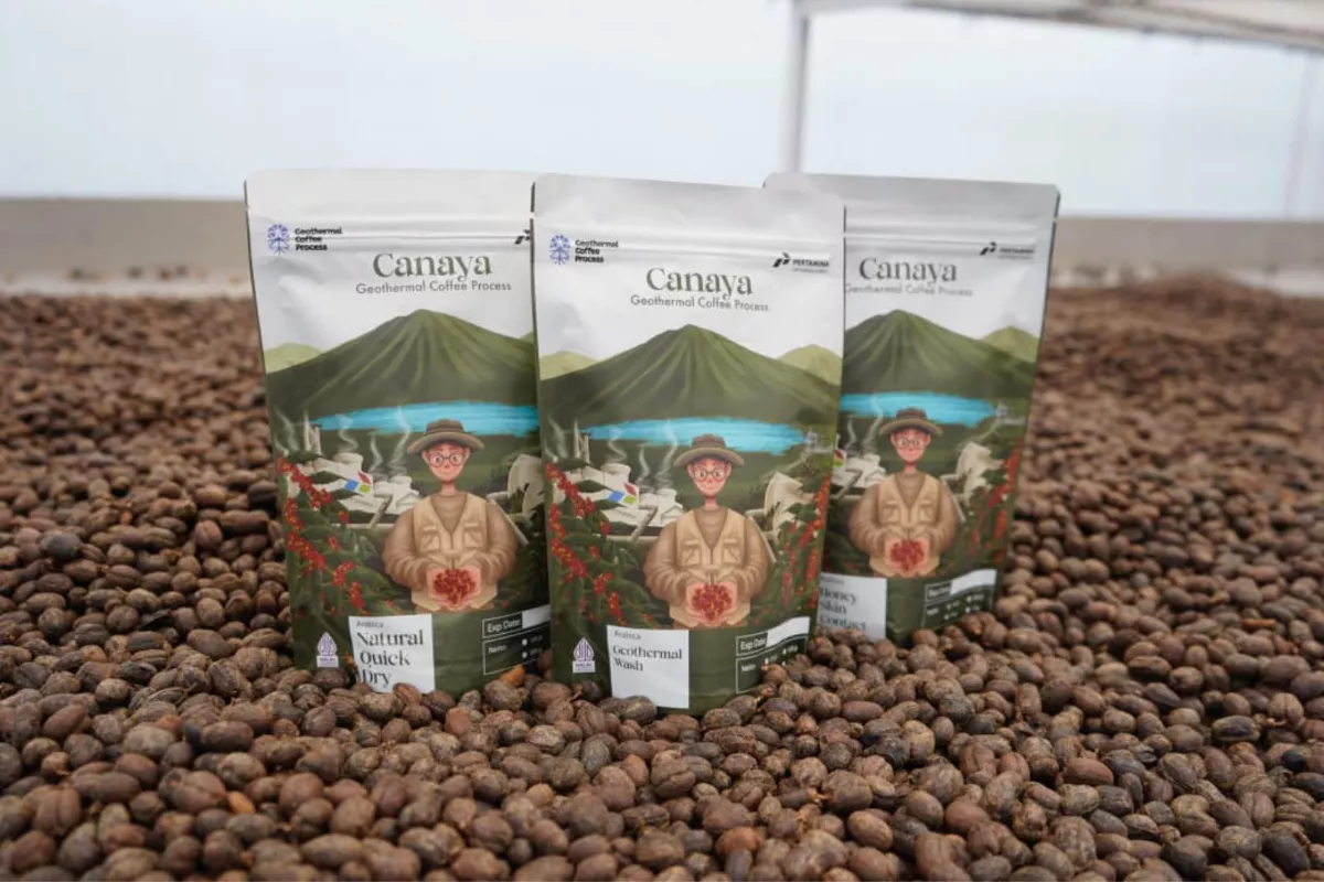 Penggunaan Energi Panas Bumi untuk Inovasi Kopi Canaya