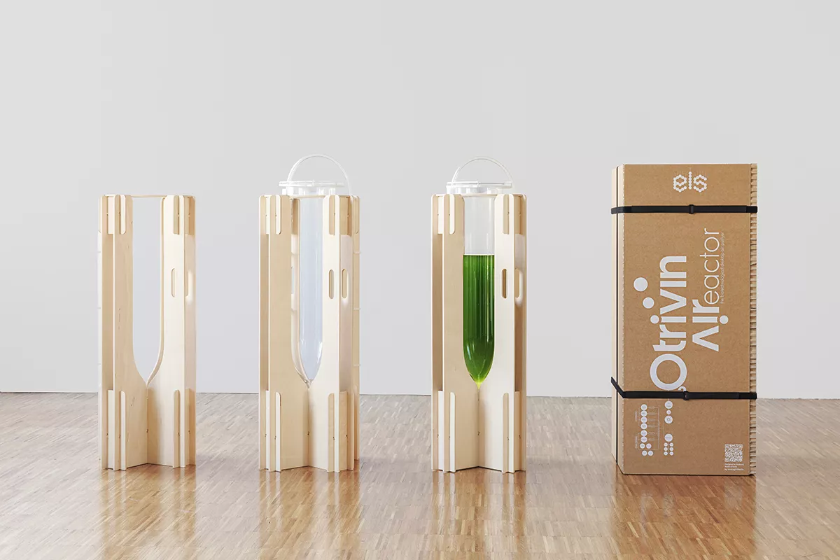 Cara Membuat Algae Bioreactor Lampu: Solusi Udara Bersih di Rumah