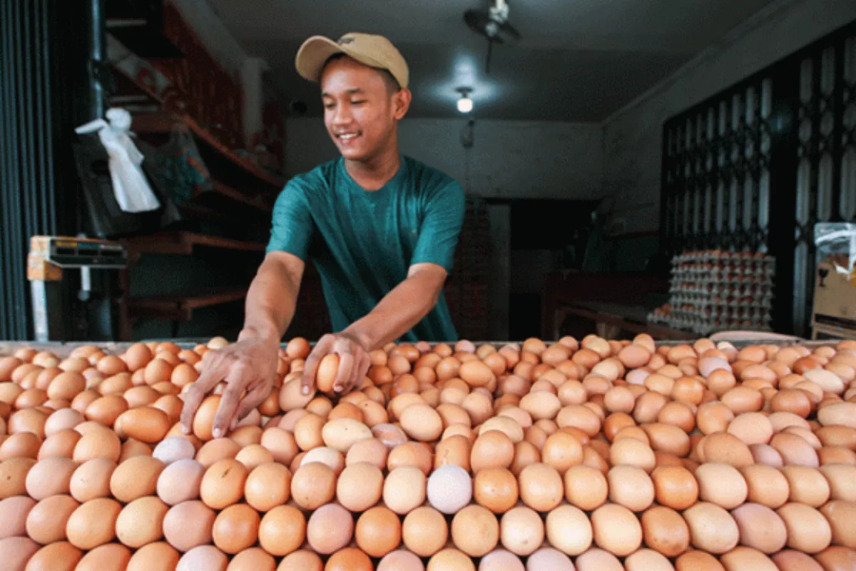 PIHPS: Harga Cabai Rawit Rp84.400/kg dan Telur Ayam Rp31.350/kg