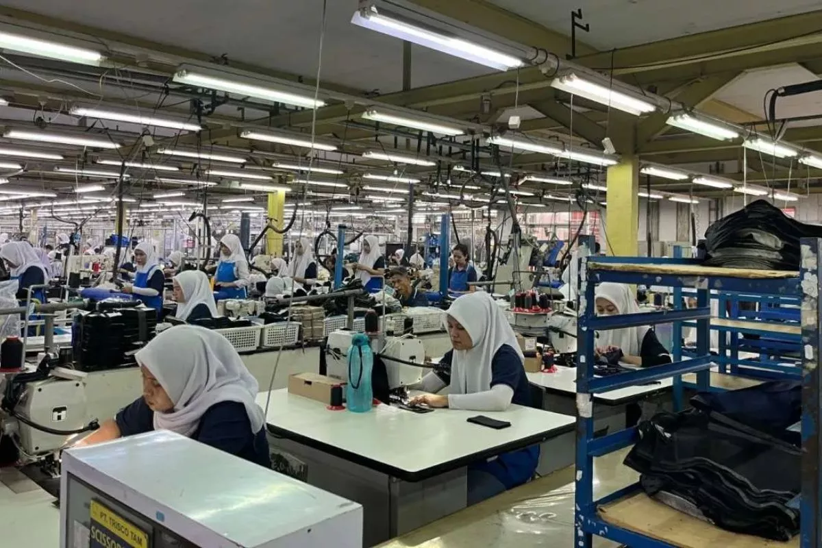 TRIS Bagikan Dividen Interim Rp7 Miliar Setelah Laba Semester I Naik