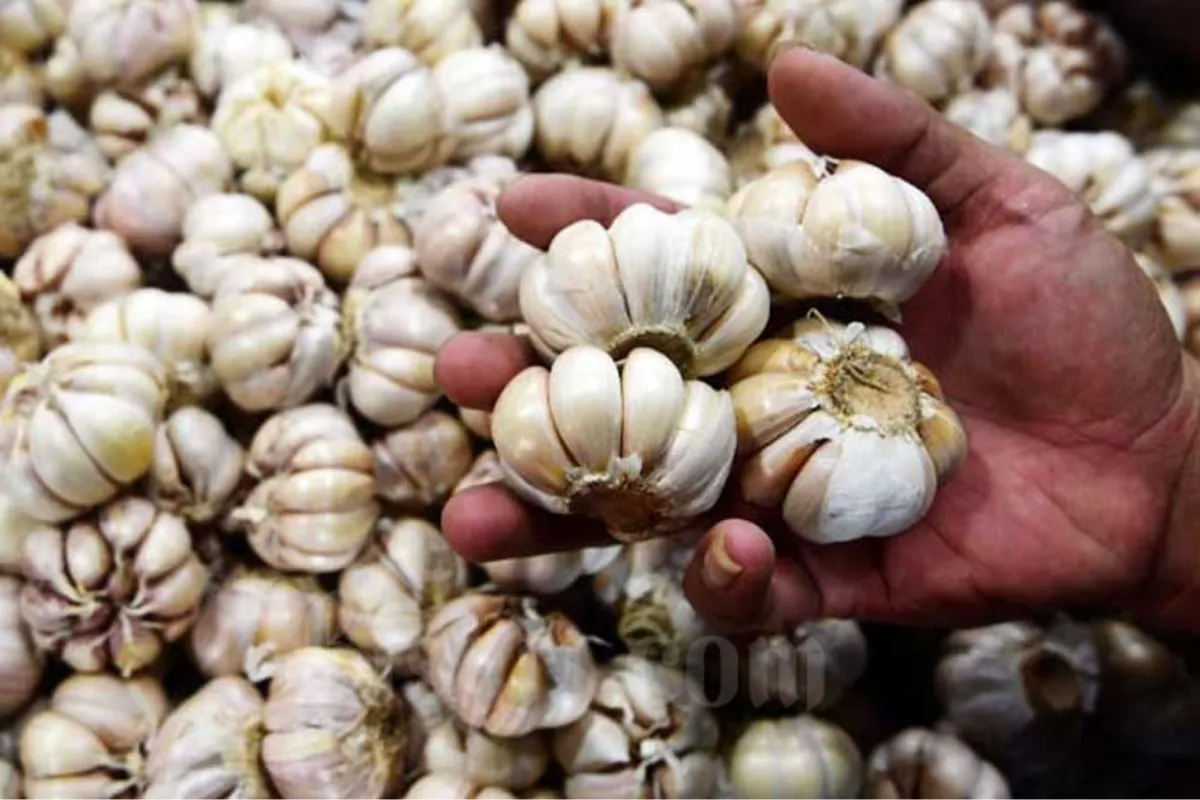 Bawang Merah dan Bawang Putih Naik, Cek Harga Pangan 11 Juni 2026