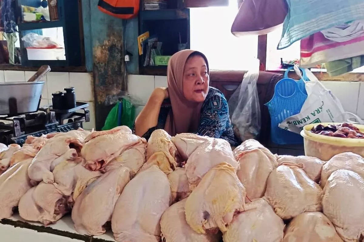 TPID Sumut Awasi Rantai Pasok Usai Harga Ayam Melonjak ke Rp50.000 per Kg