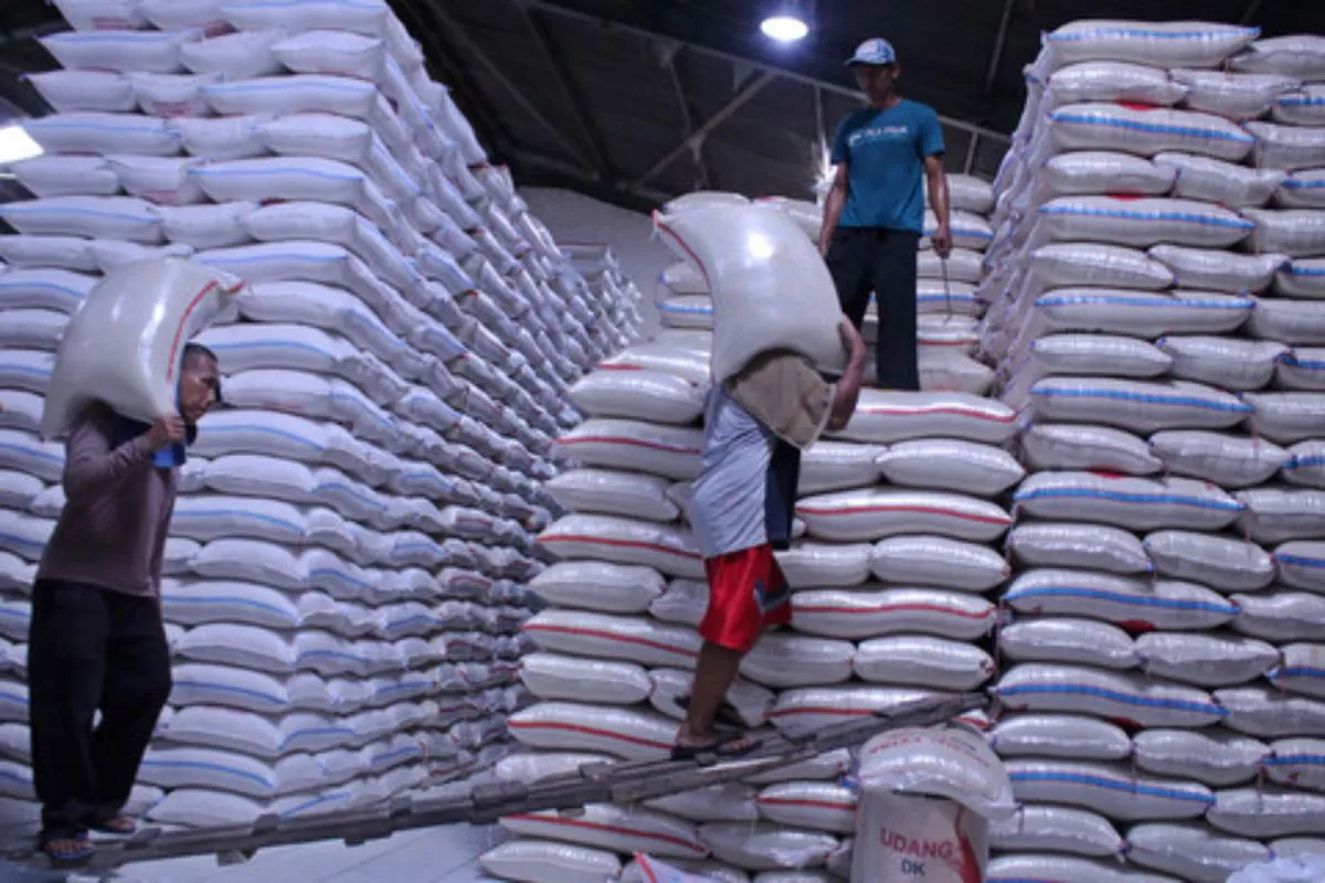 Pemerintah Pastikan Ketahanan Pangan RI Aman dari Ancaman El Nino