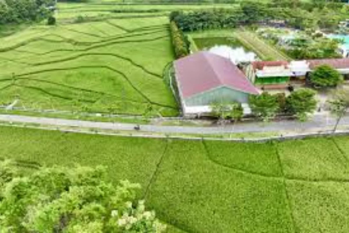Sukses Lewati Target, Jateng Kembangkan 2.331 Desa Mandiri Energi