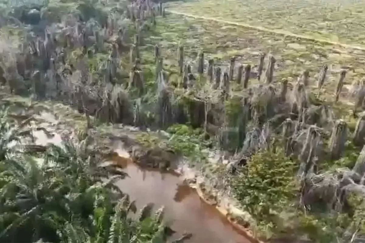 Bibir Sungai Rusak, Polda Riau Jerat PT Musim Mas Jadi Tersangka
