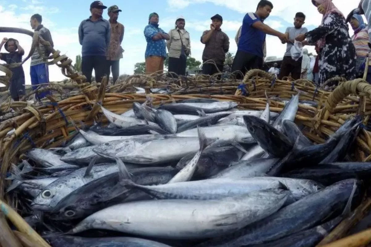 KKP Dorong Penguatan Hulu Sambut Tarif Nol Persen Tuna