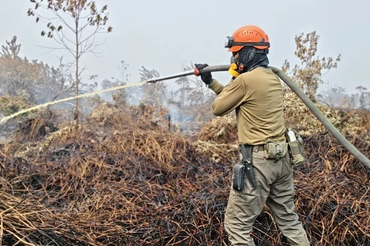Antisipasi Dampak Karhutla, PLN Perkuat Keandalan Listrik di Riau