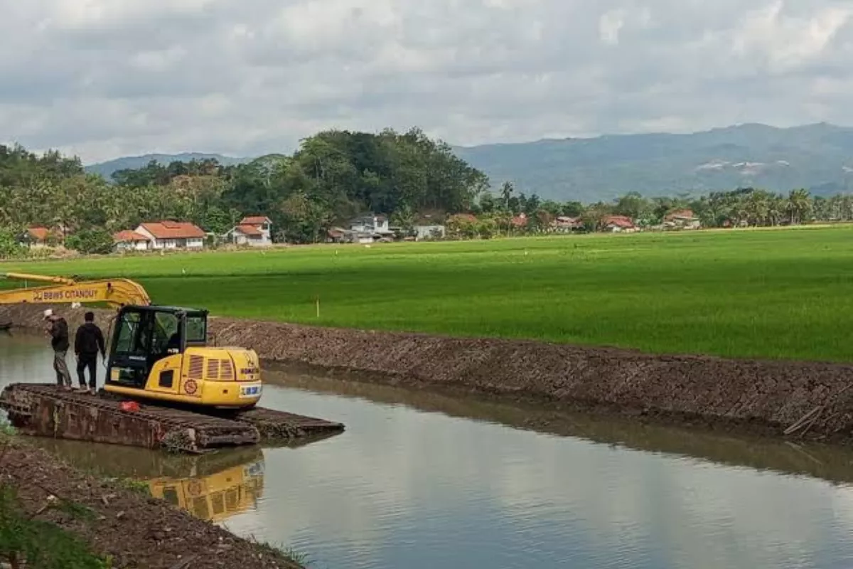 Panen Anjlok Saat Kemarau, Petani Pangandaran Rugi dan Pasrah