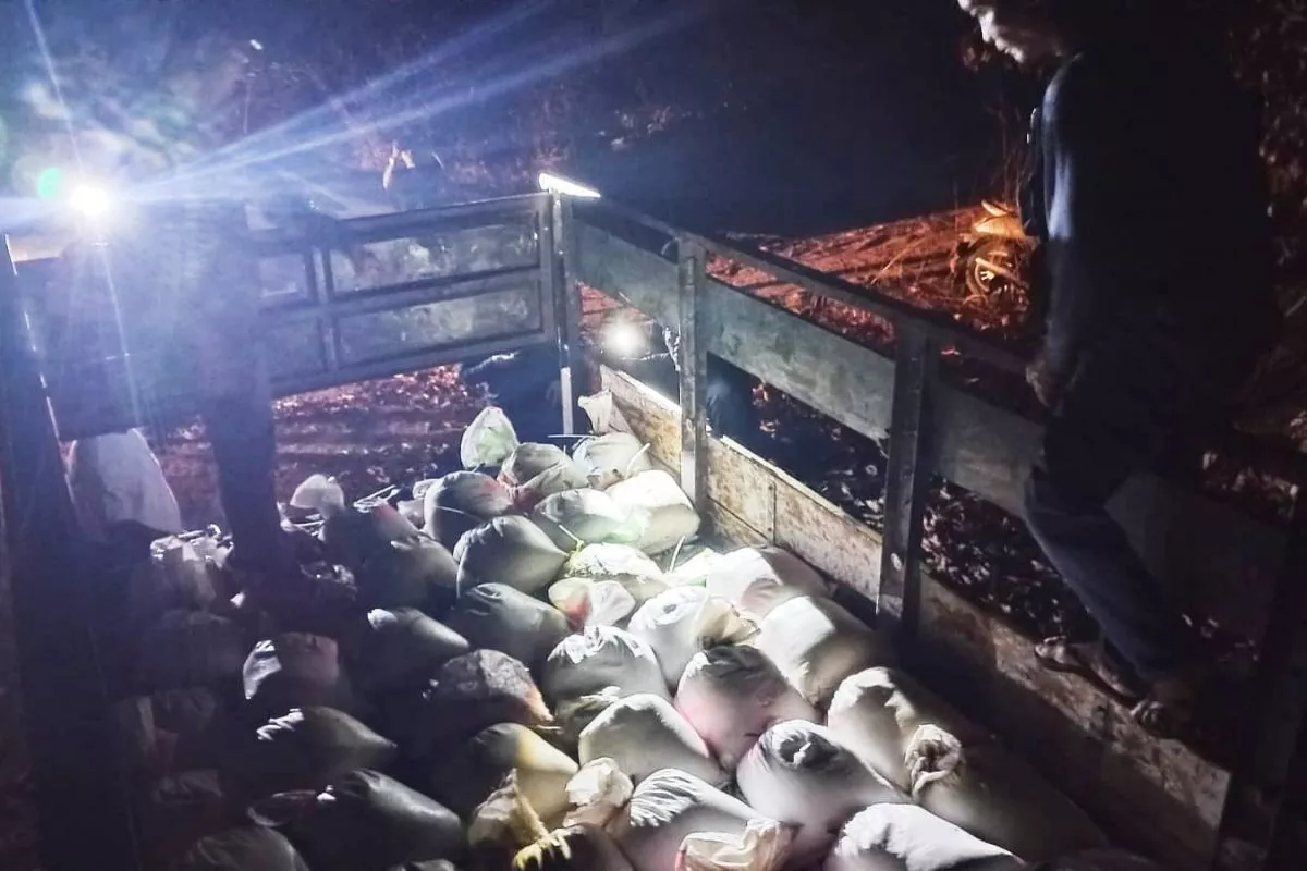 Penyelundupan 7 Ton Pasir Timah Ilegal di Belitung Digagalkan
