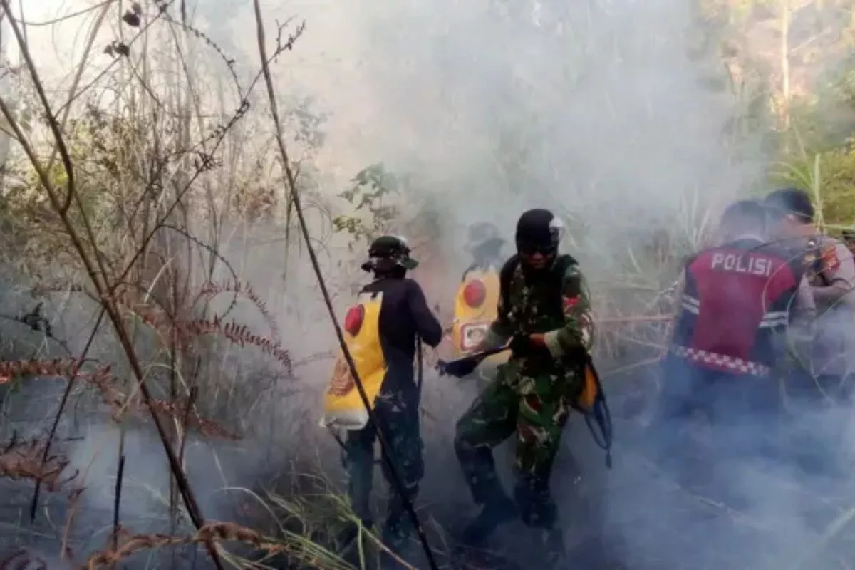 Tim Gabungan Berhasil Padamkan Kebakaran Lahan di Seram Timur