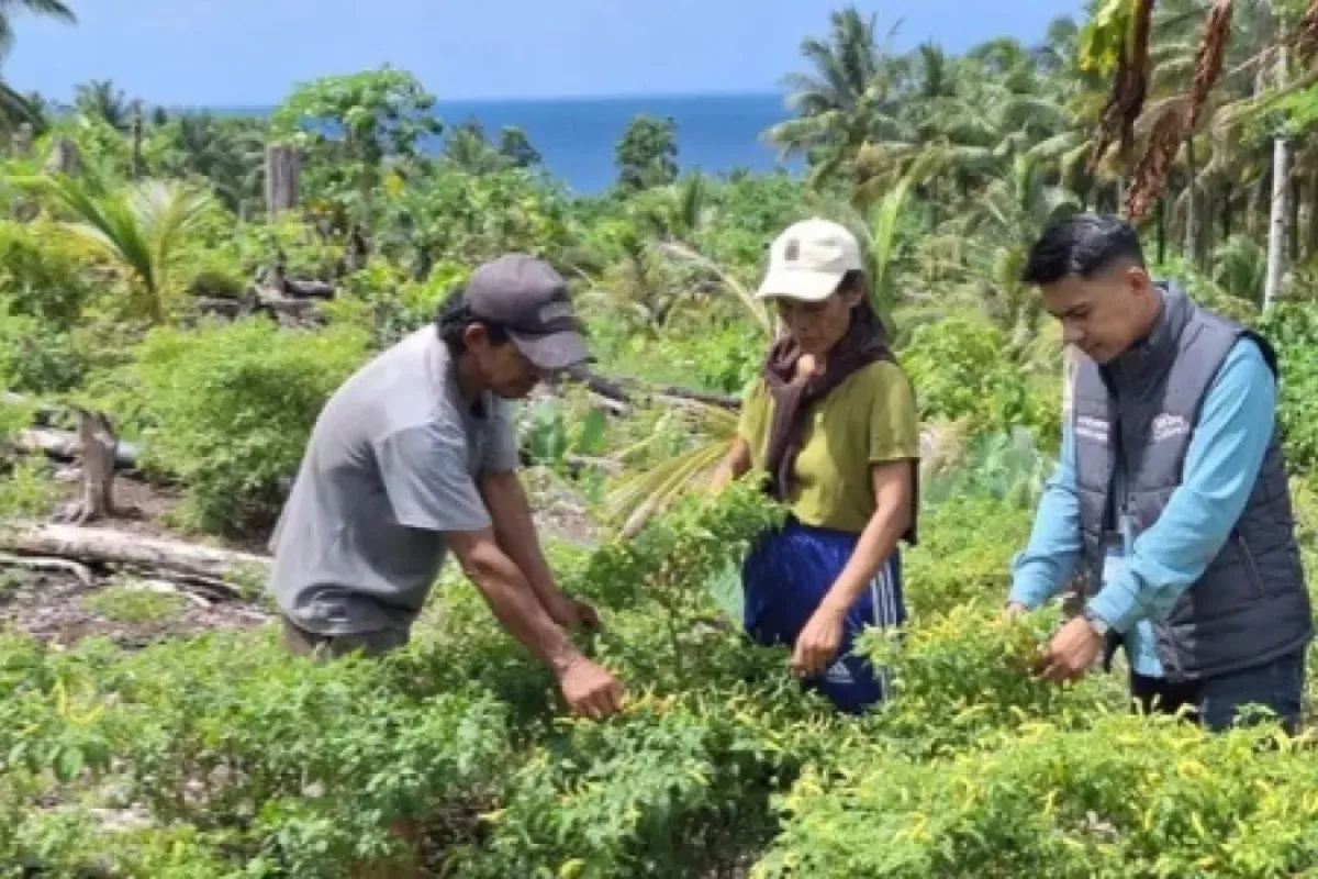 Perjuangan Mantri BRI Hadapi Ombak Demi Akses Keuangan Pulau Seram