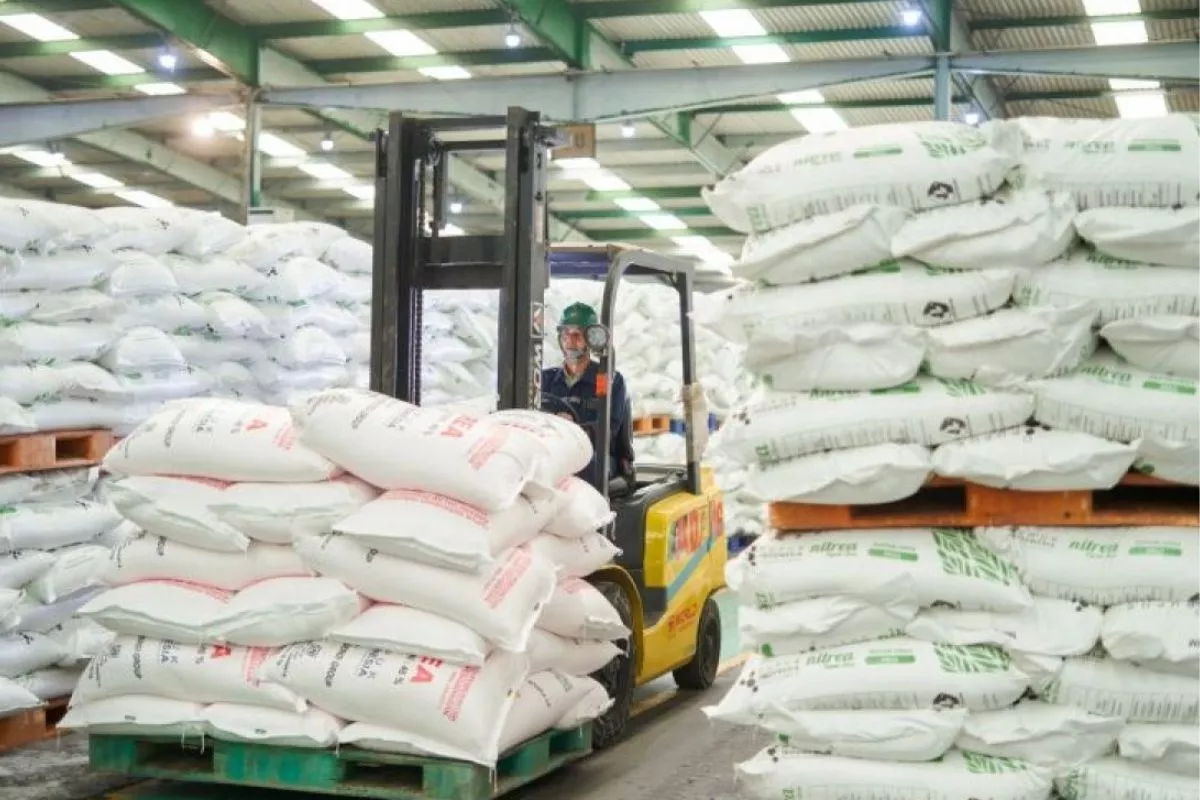 Musim Kemarau, Pusri Jamin Stok Pupuk Bersubsidi Aman