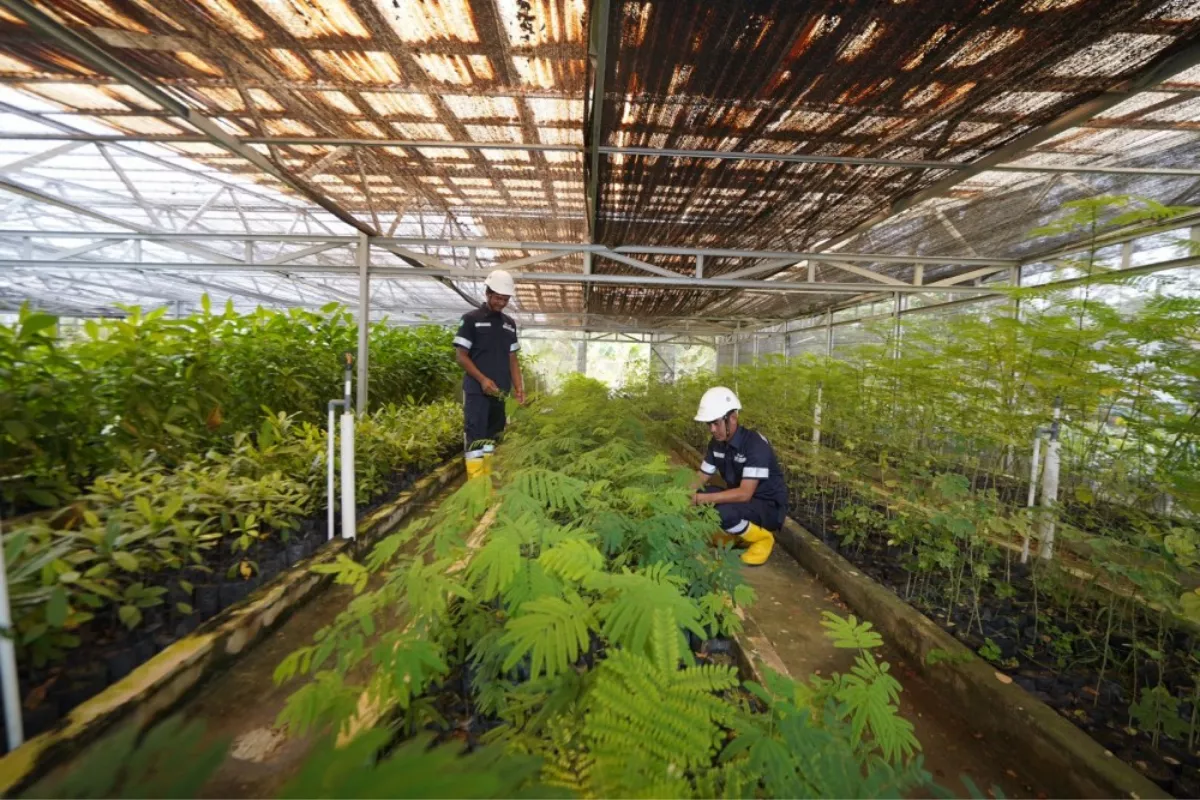 MIND ID Rehabilitasi 8.000 Hektare Lahan Bekas Tambang Jadi Habitat