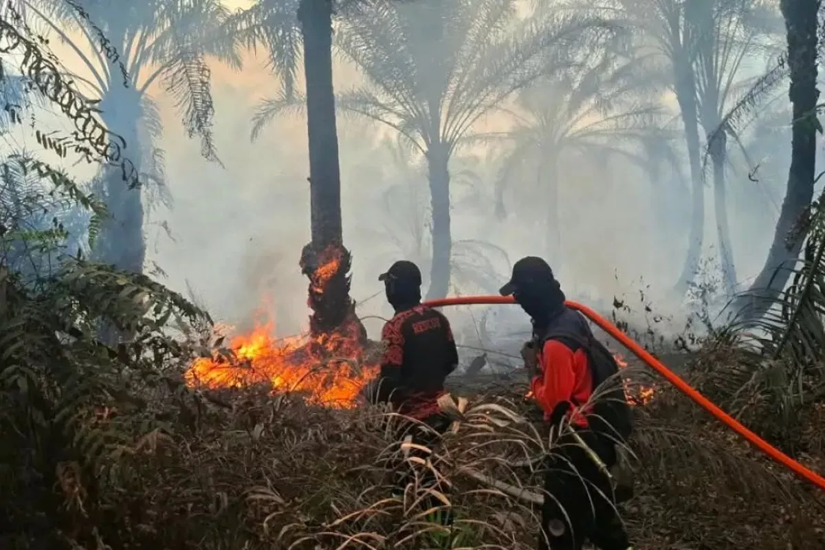 Kemenhut Tegaskan Deteksi Dini dan Respons Cepat Kunci Atasi Karhutla