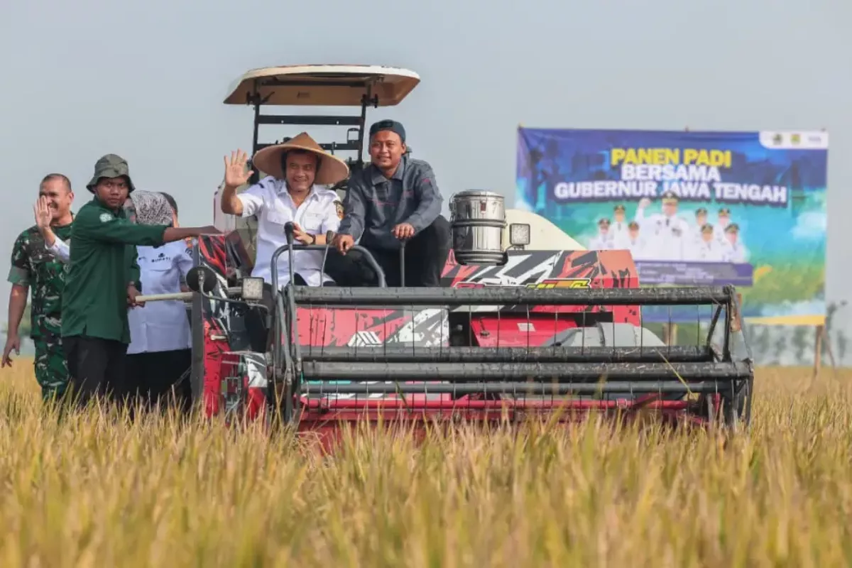 Ahmad Luthfi Sebut Produksi Padi Jawa Tengah Capai 6,69 Juta Ton