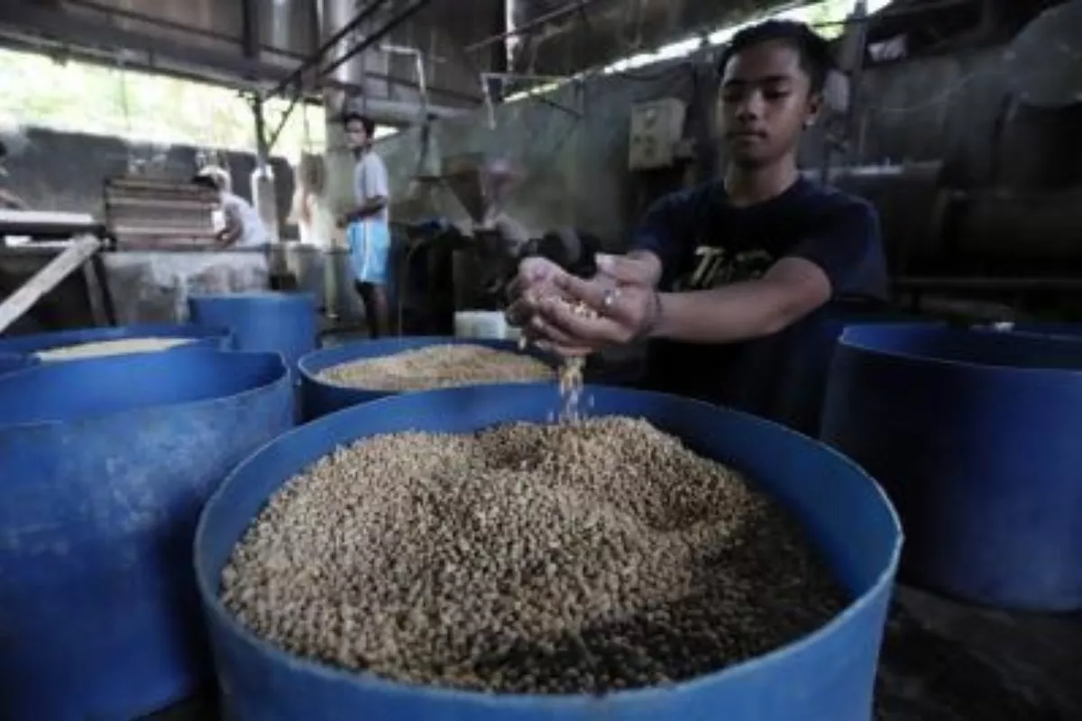 Subsidi Kedelai Dinilai Belum Mampu Atasi Tekanan Produsen Tahu-Tempe