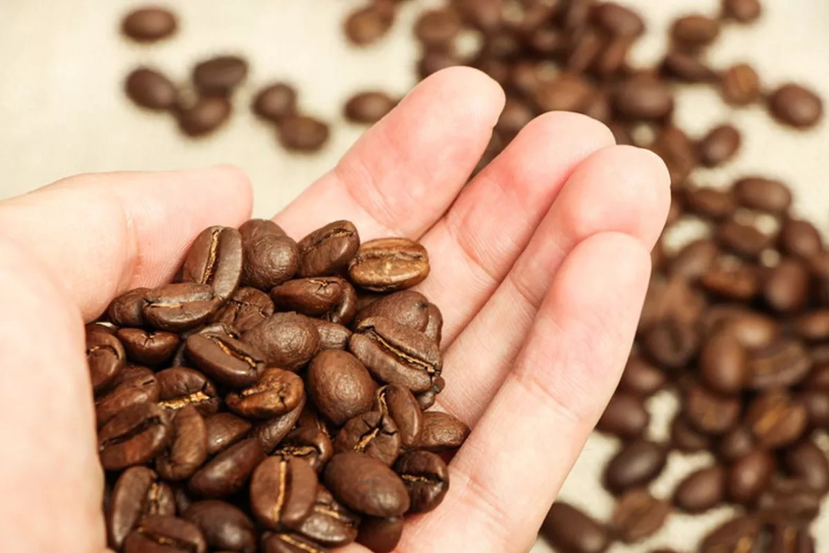 Harga Kopi 13 Mei: Harga Berbalik Turun Akibat Penguatan USD