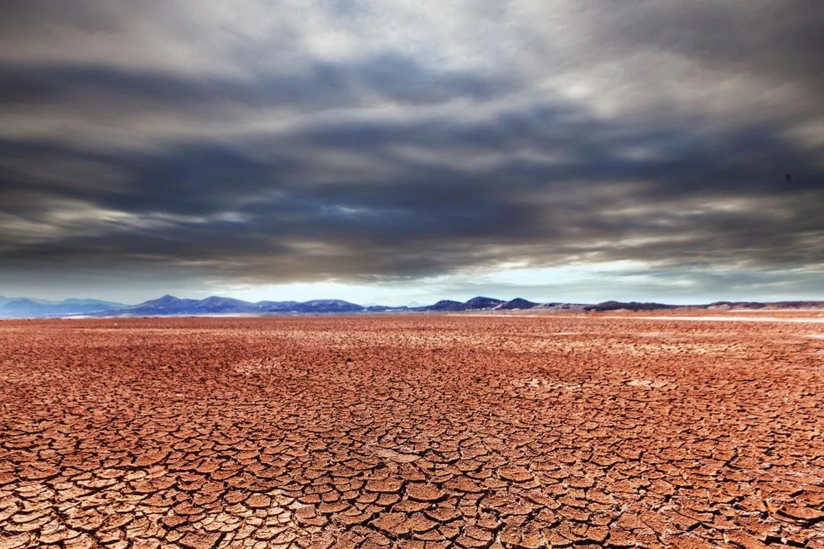 5.019 Titik Panas Terdeteksi Lonjakan Terpesat Sejak El Nino 2015 Ini