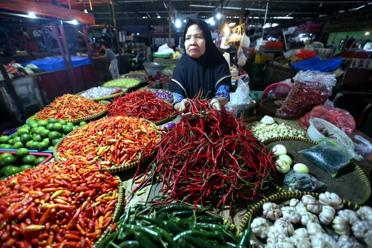 Update Harga Pangan: Cabai dan Daging Turun, Minyak Goreng Melonjak