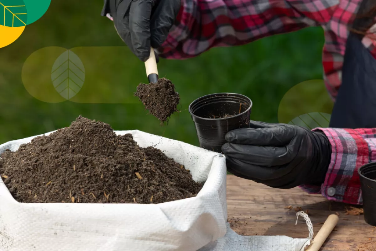 Daftar Jenis Media Tanam Terbaik untuk Berbagai Macam Bunga Hias