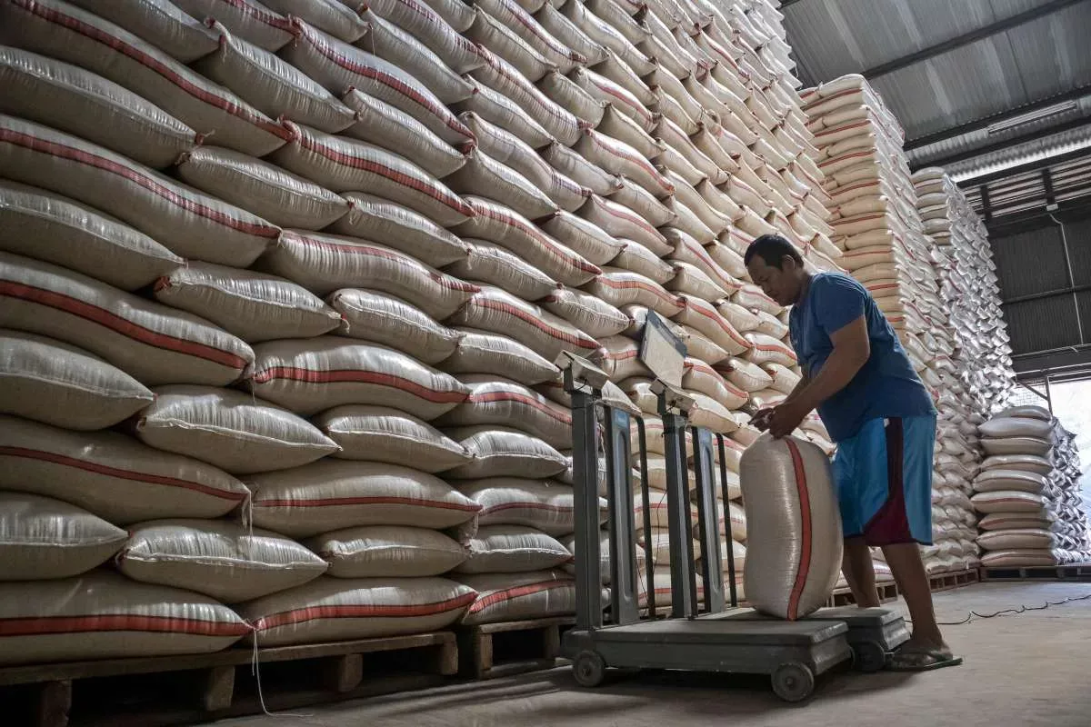 Stok Cadangan Beras Pemerintah Tembus 5,2 Juta Ton Antisipasi El Nino