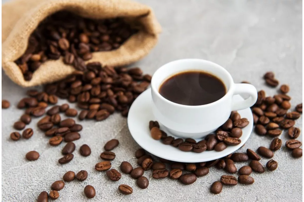 Analisis Harga Kopi Arabika 13 April 2026: Peluang Strategis Investor