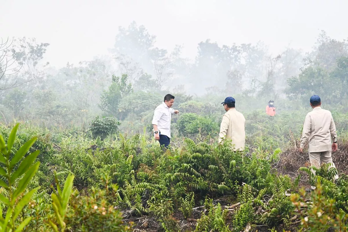 Kemenhut Siapkan DAK Rp5,5 Miliar Tangani Karhutla Kalbar